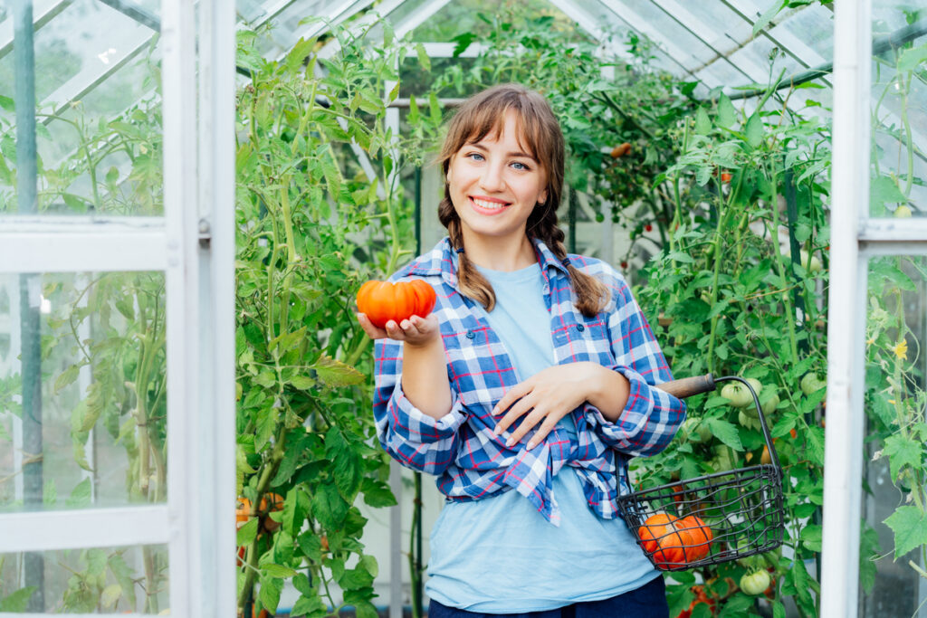 Young smiling woman holding ripe red beef tomato, just picked in green house. Harvest of tomatoes. Cottagecore lifestyle. Growing organic vegetables in garden. The concept of food self-sufficiency.