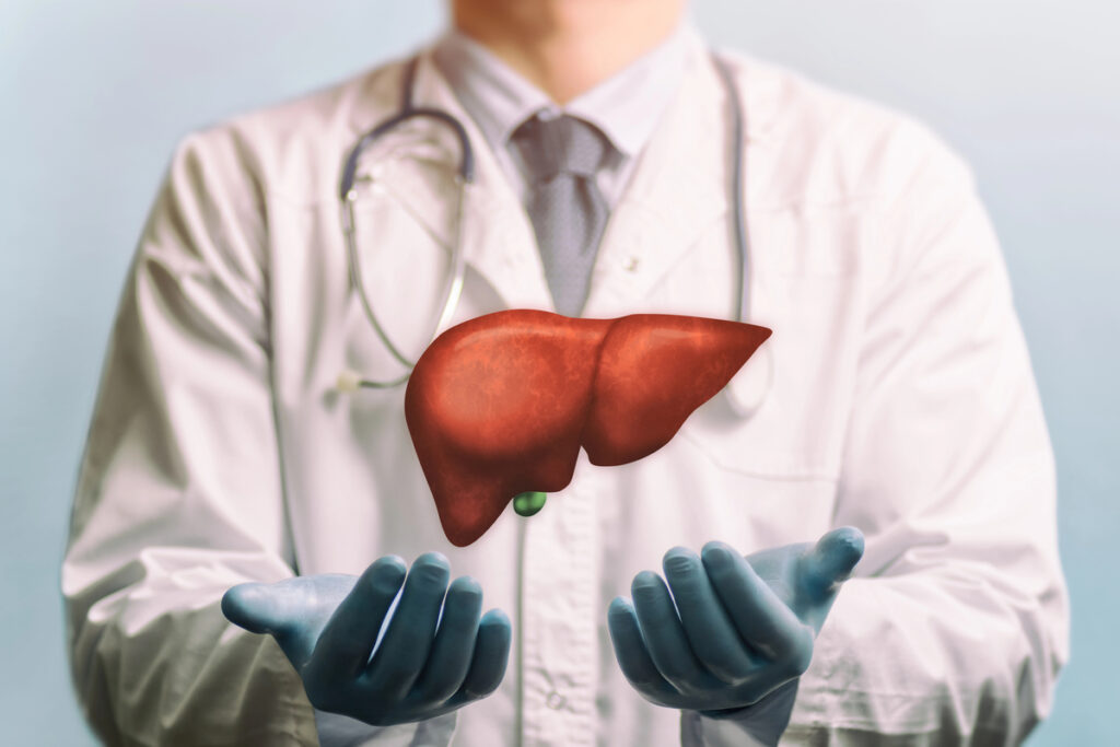 Image of a doctor in a white coat and liver above his hands. Concept of healthy liver and donation.