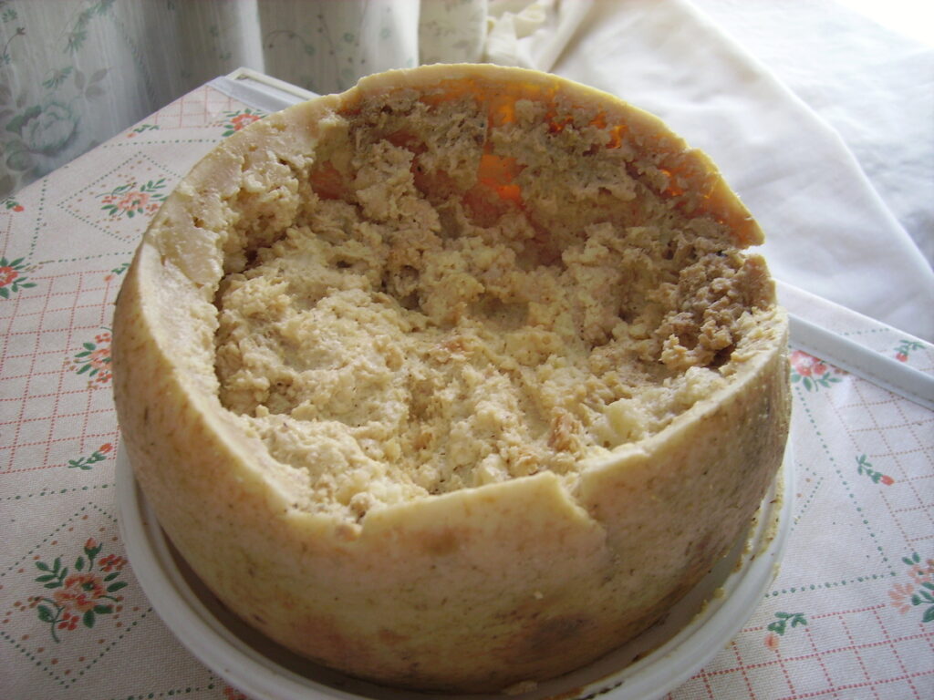 Casu Marzu (Maggot Cheese)