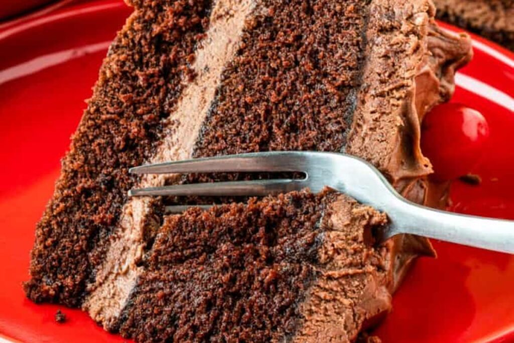 Chocolate Mayonnaise Cake
