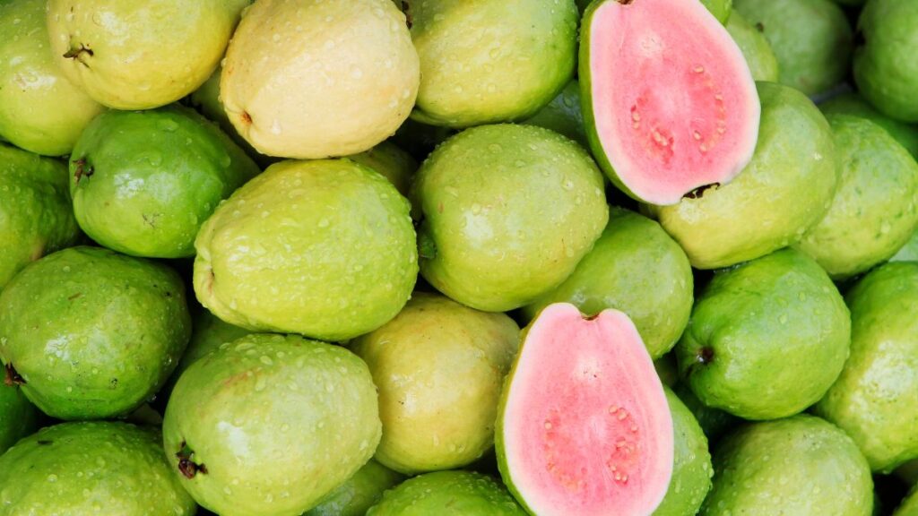 Guava