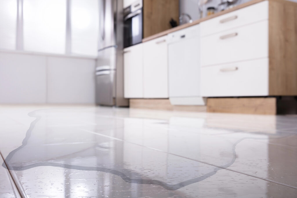 Close-up Of Spilled Water On Kitchen Floor At Home