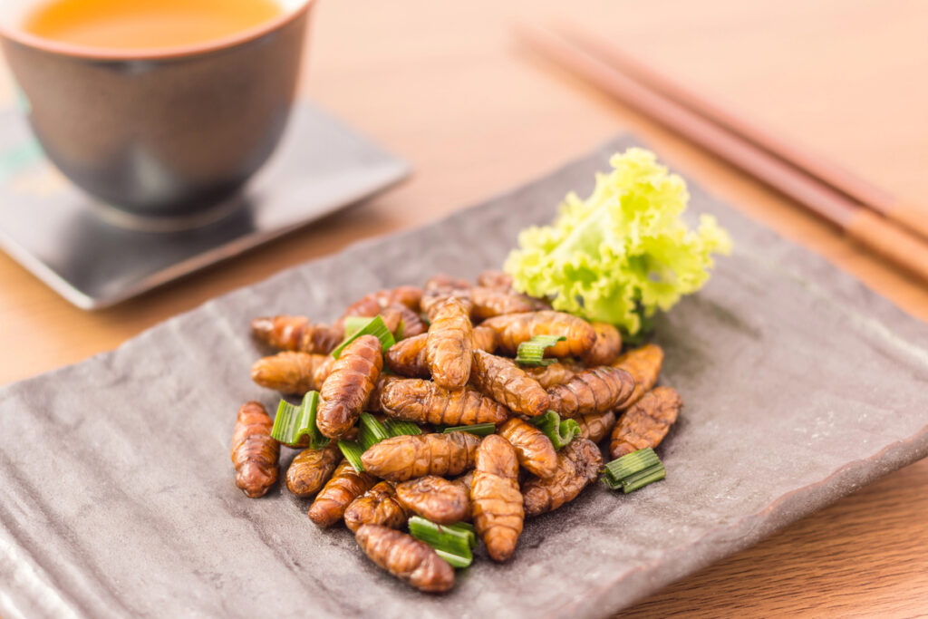 Fried insects - Wood worm insect crispy with pandan after fried and add a light coating of sauce and garnish Thai pepper powder with chopsticks, tea, on wooden background, Select focus