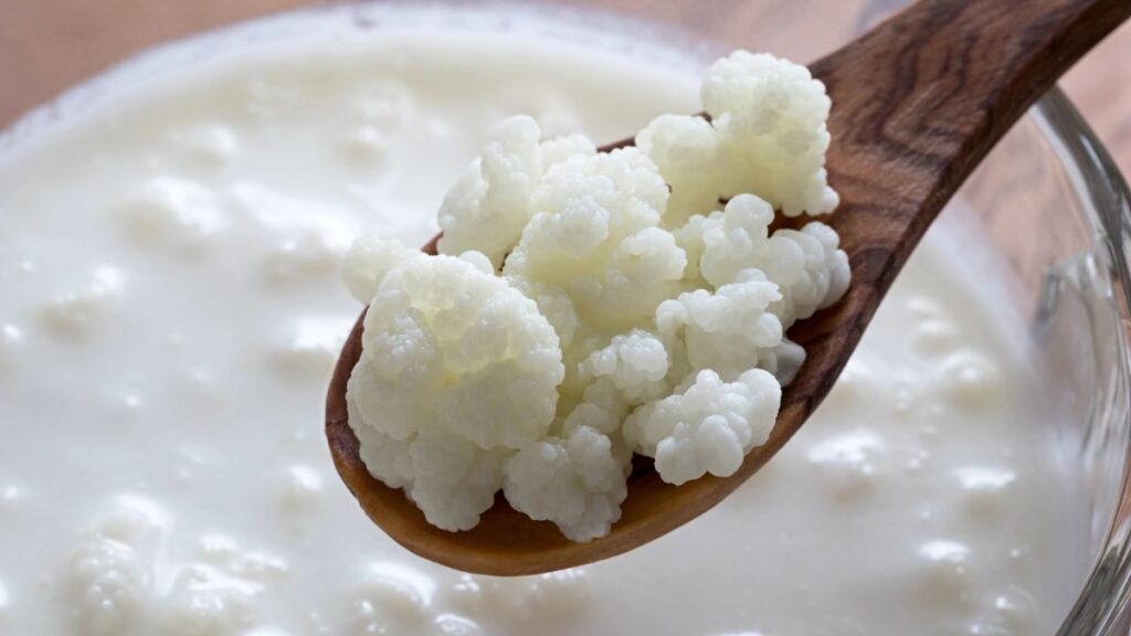 Kefir