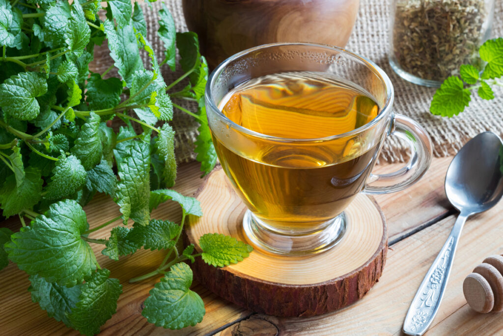 A cup of melissa (lemon balm) tea on a wooden table with fresh melissa twigs