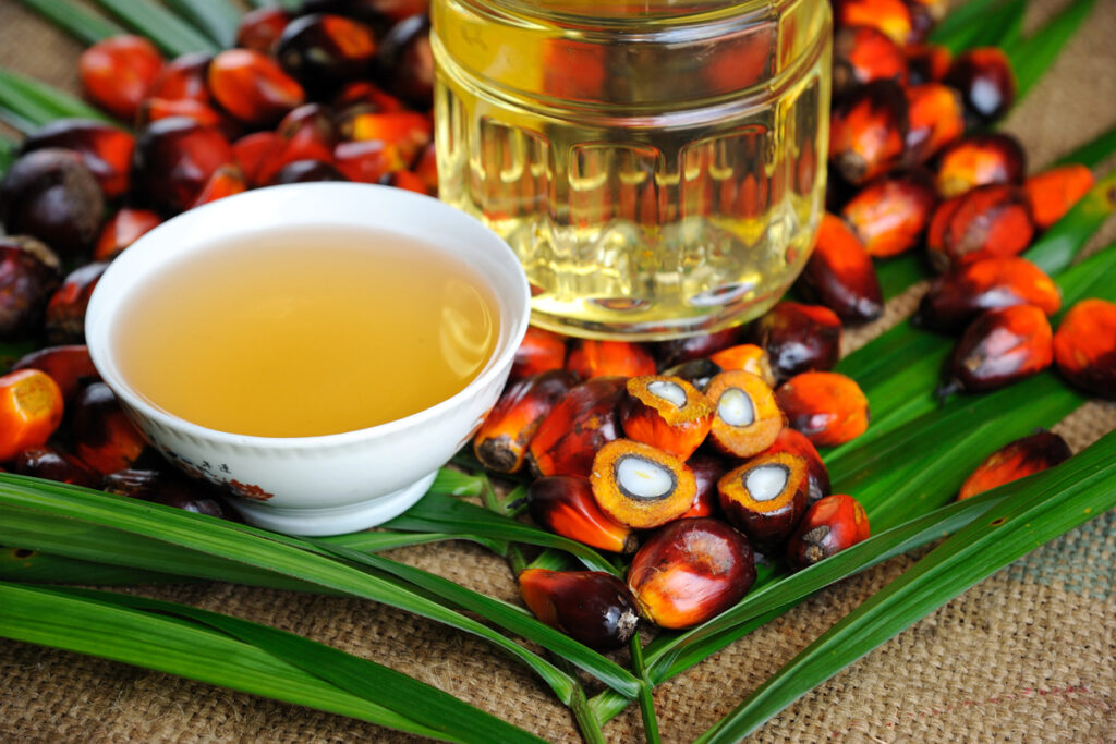 Palm Oil