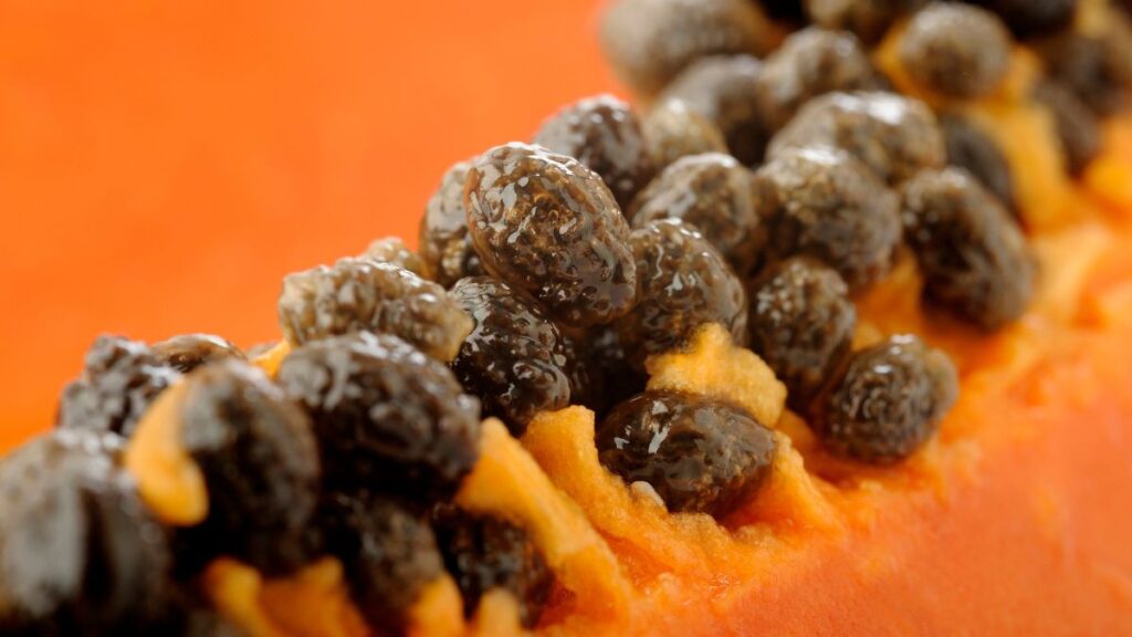 Papaya Seeds