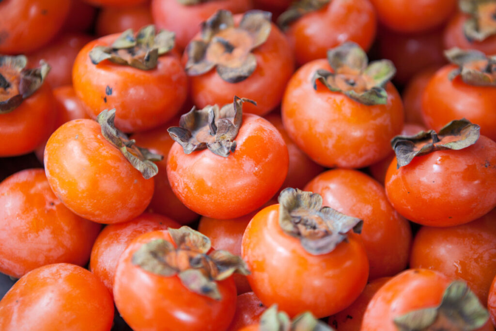 Plume Persimmons