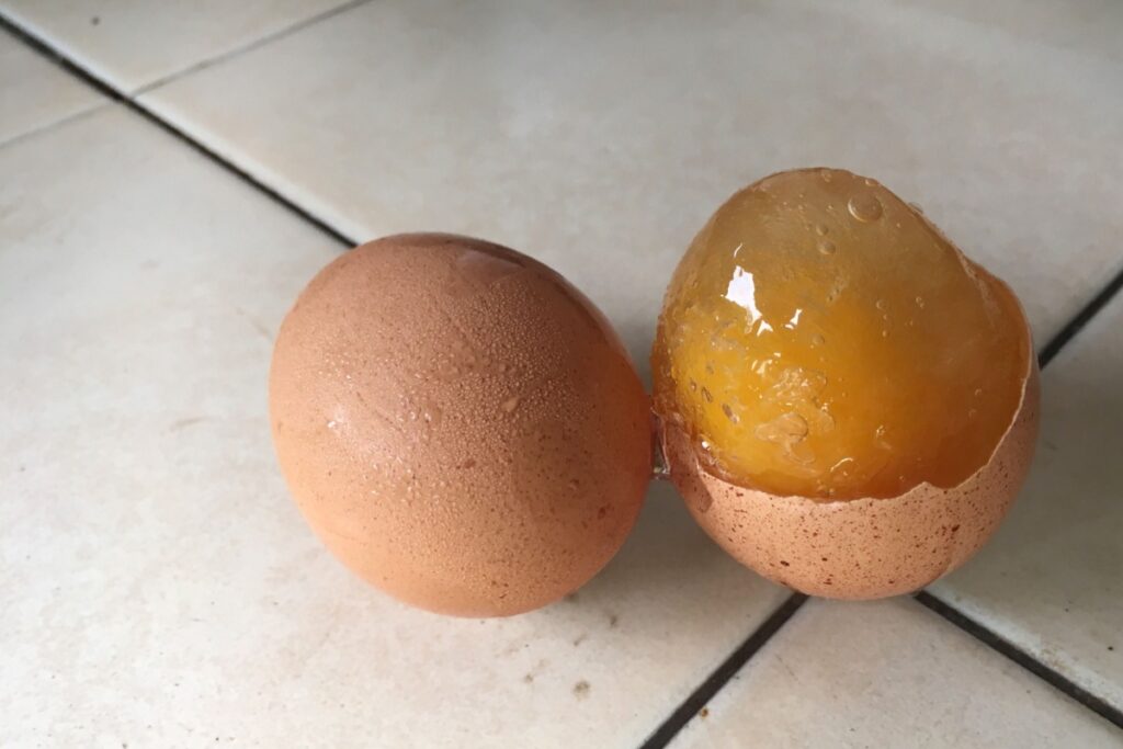 Raw eggs are frozen