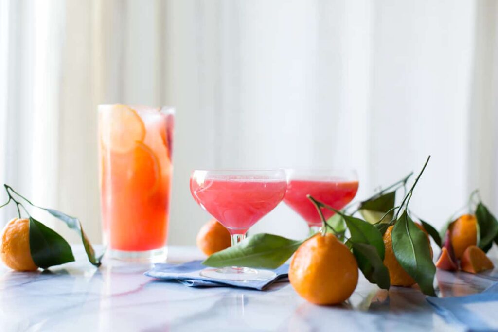 Sparkling Citrus Punch