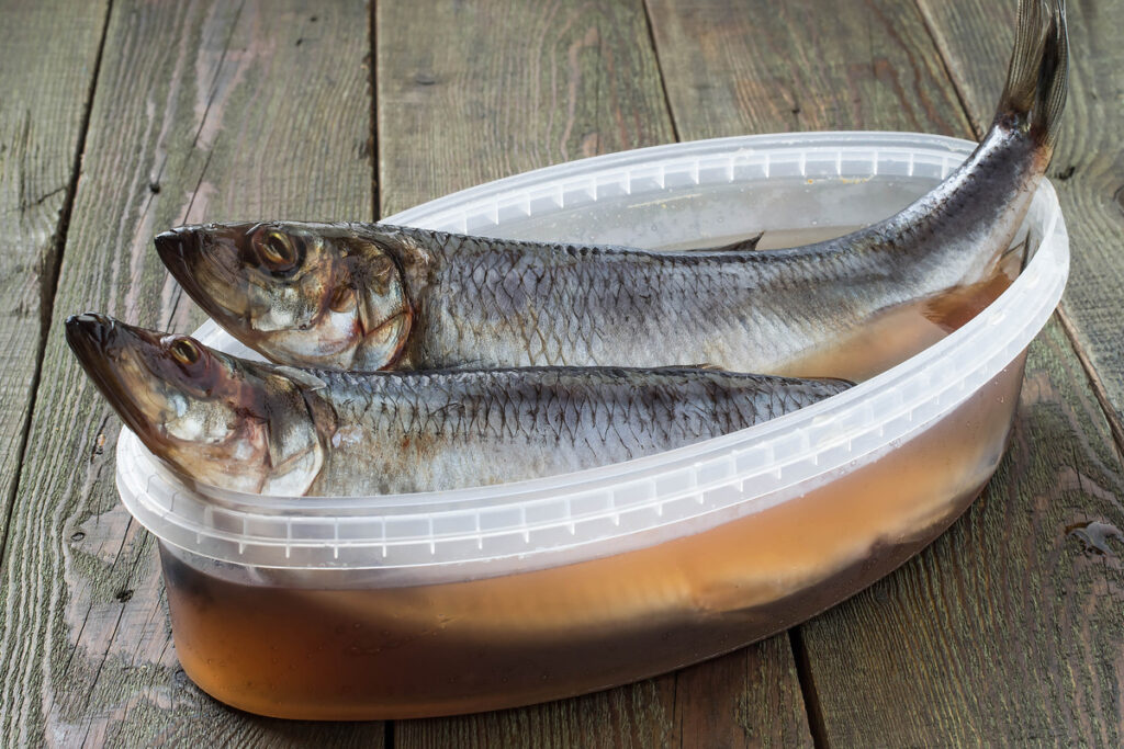 Surströmming (Fermented Herring)