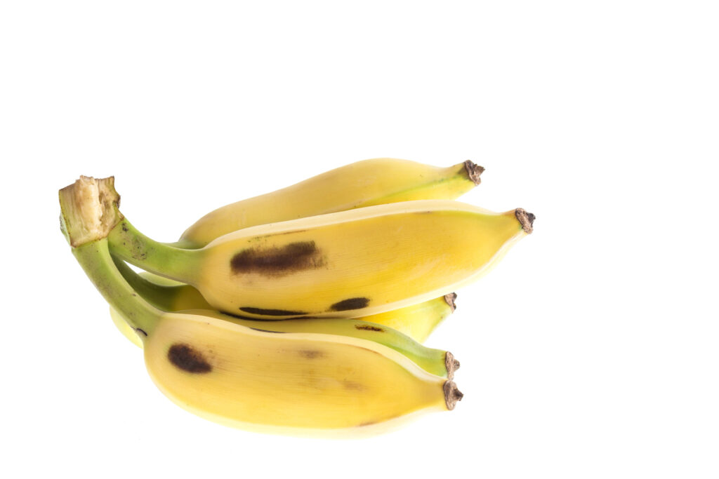 The Emperor Banana, Thai Banana isolated on white background