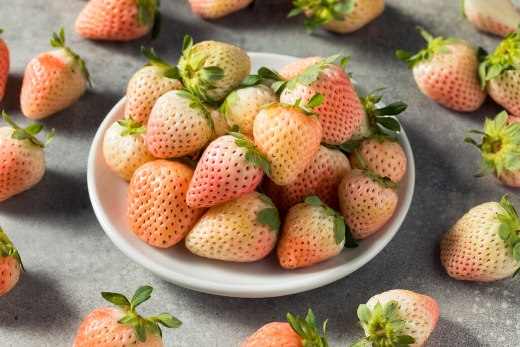 White Jewel Strawberries