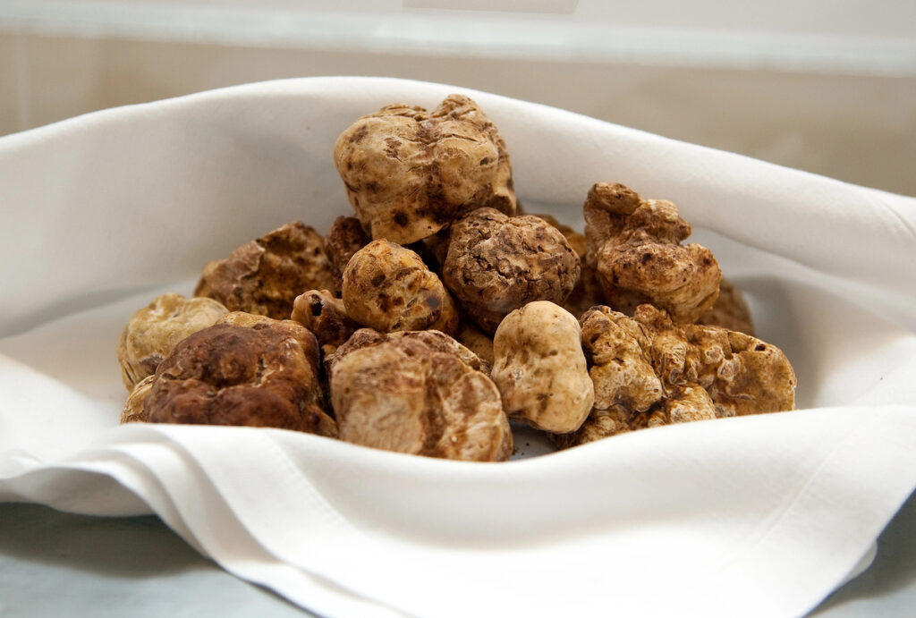 White Truffles