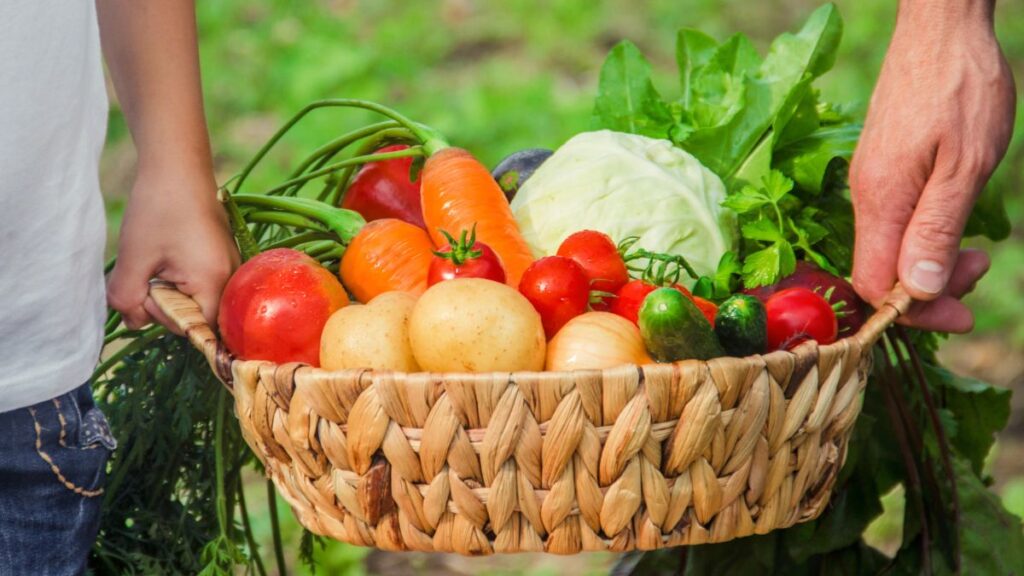 basket of vegetables