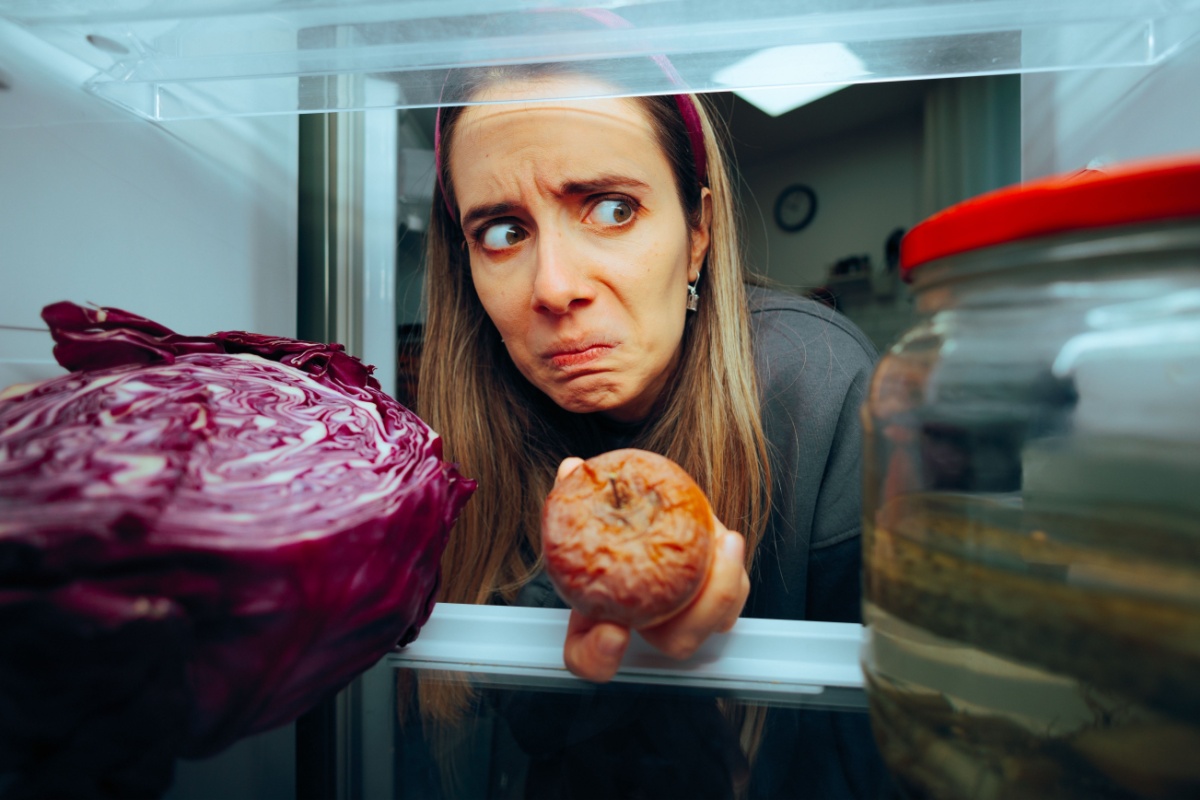 spoiled food in fridge stinks