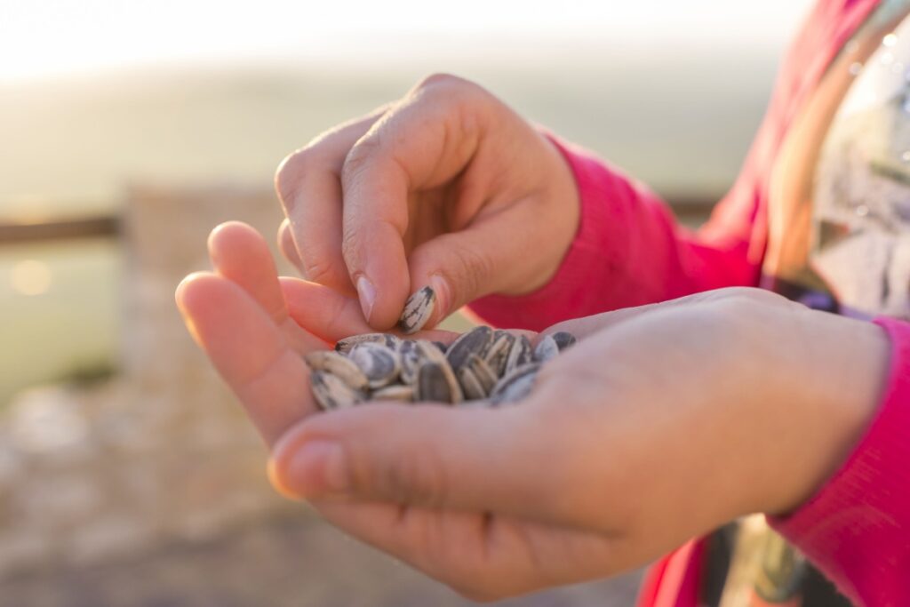 woman eating sunflower seeds