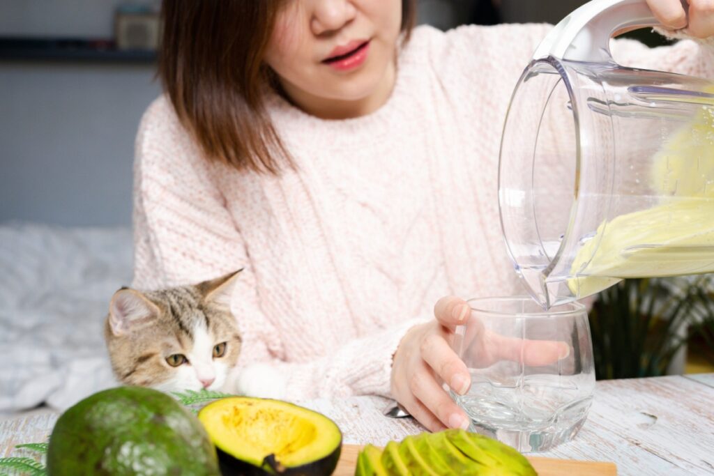 woman making avocado smoothie