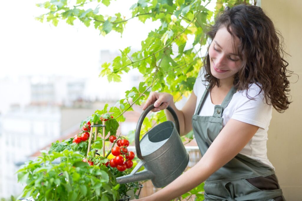 woman watering tomato plants on balcony