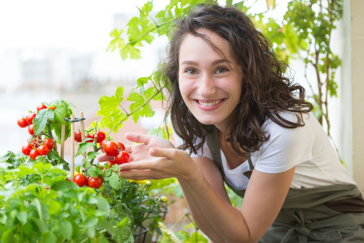 women taking care of tomato plants on balcony