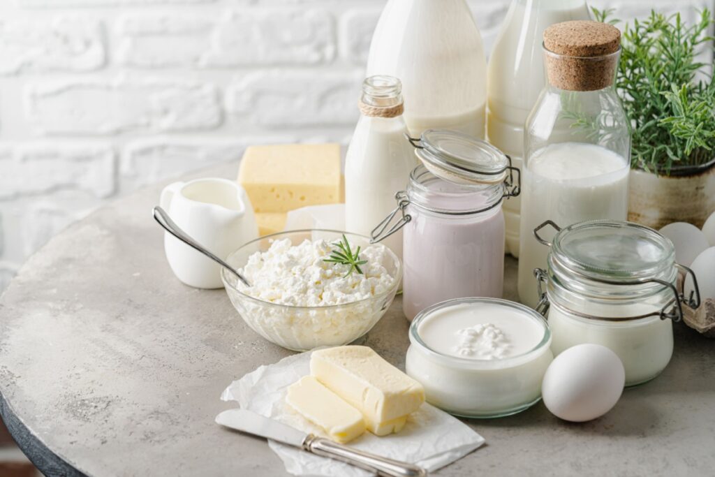 Fresh dairy products milk cottage cheese butter