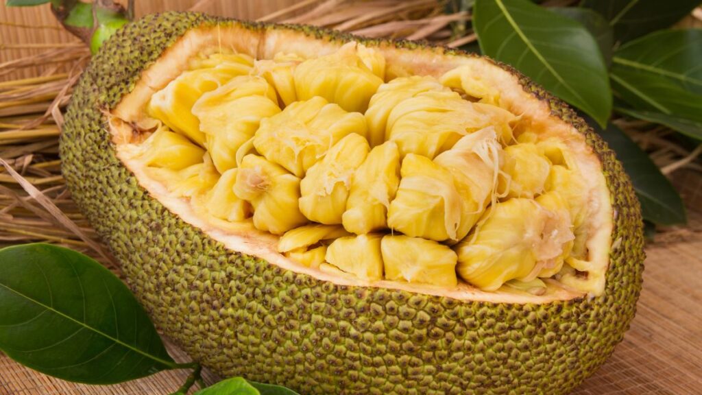 Jackfruit