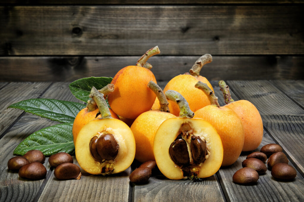 Loquat