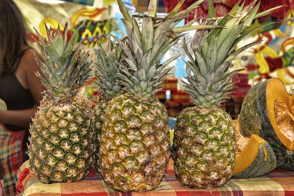 Pineapple Festival – Eleuthera, Bahamas