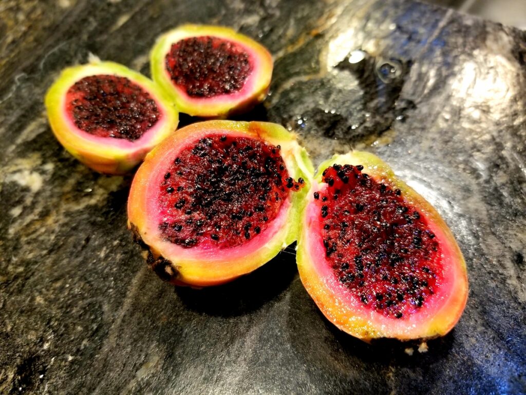 Saguaro Cactus Fruit