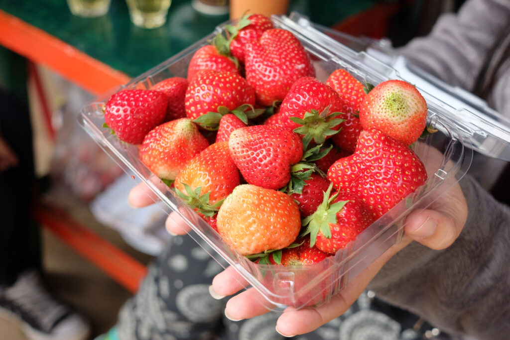 Strawberry Festival – Pasadena, Texas, USA