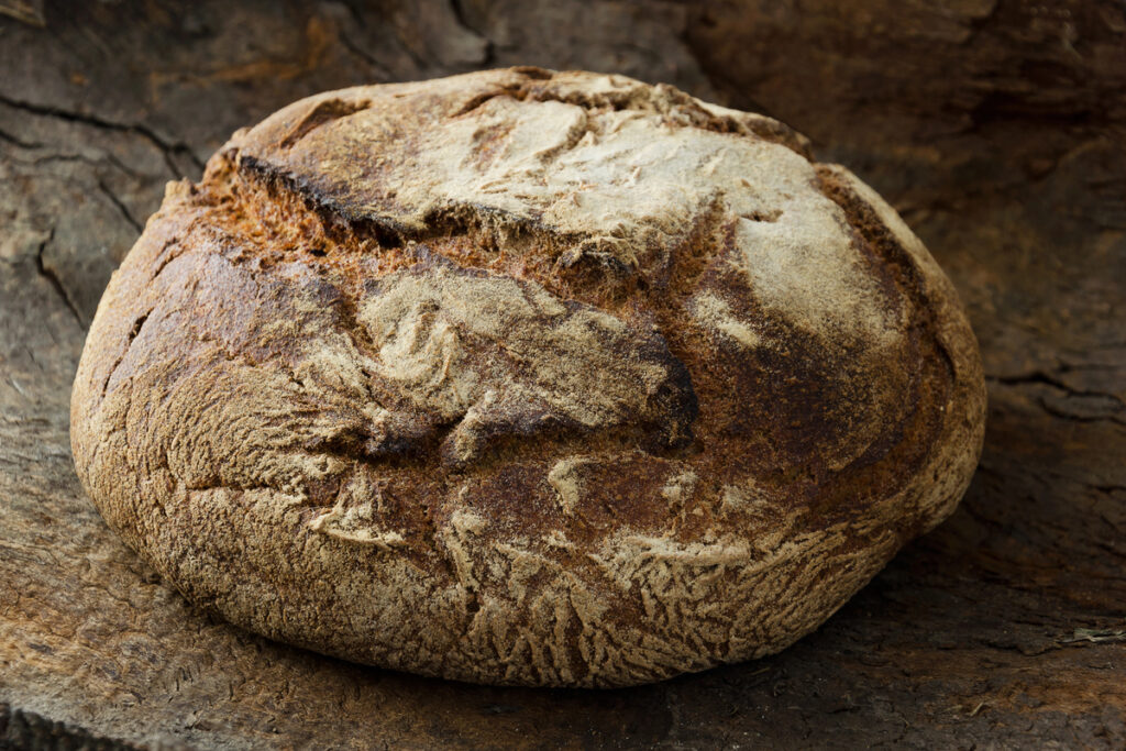 Tree Bark Bread