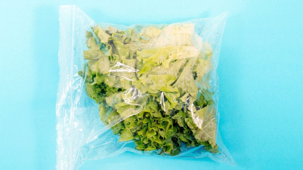 bag salad