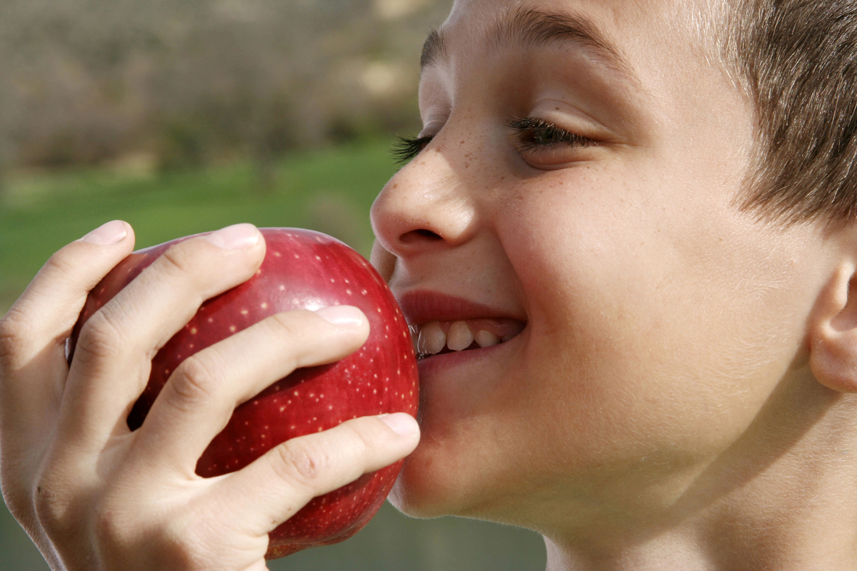 Appetizing, apple eating, young man