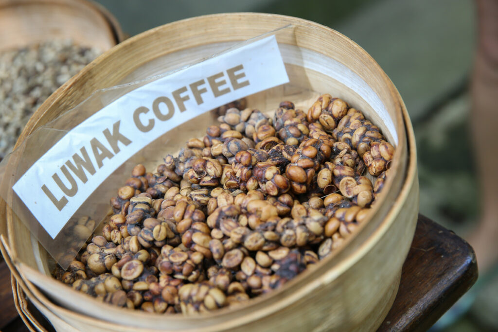 Kopi Luwak Coffee