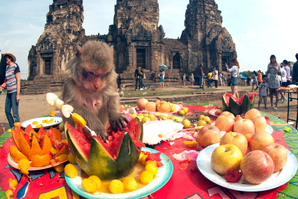 Monkey Buffet Festival in Thailand