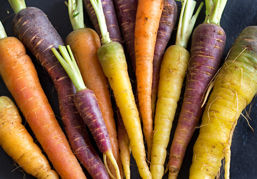 Rainbow Carrots