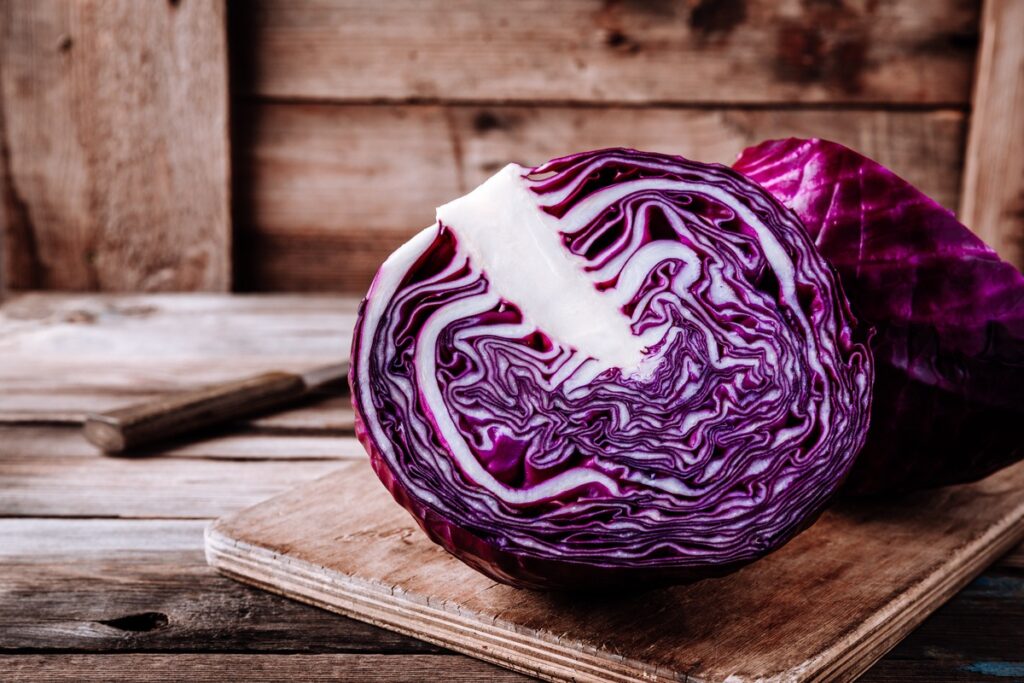 Red Cabbage