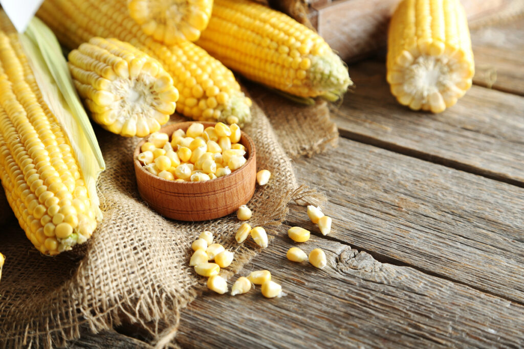 Sweetcorn