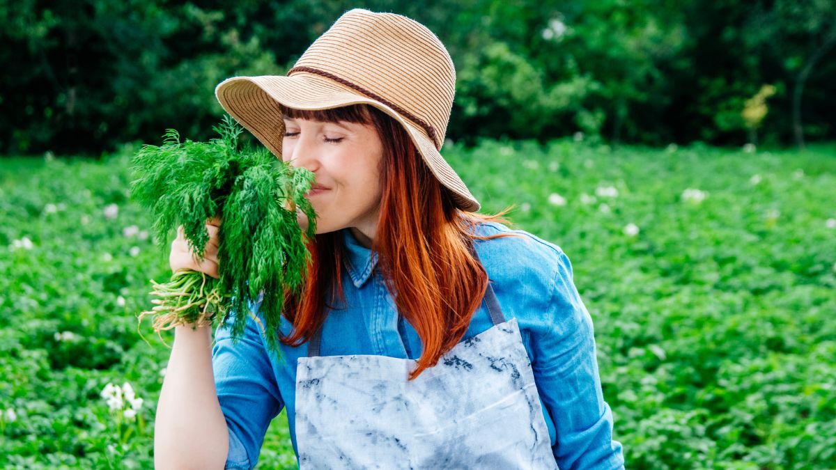 woman in garden smelling dill