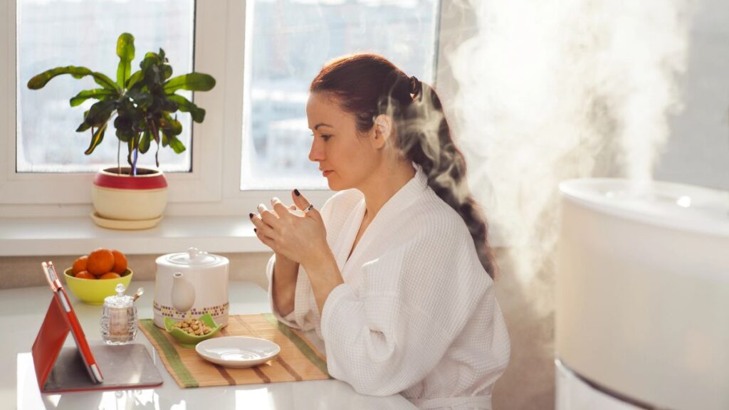 Humidifier 