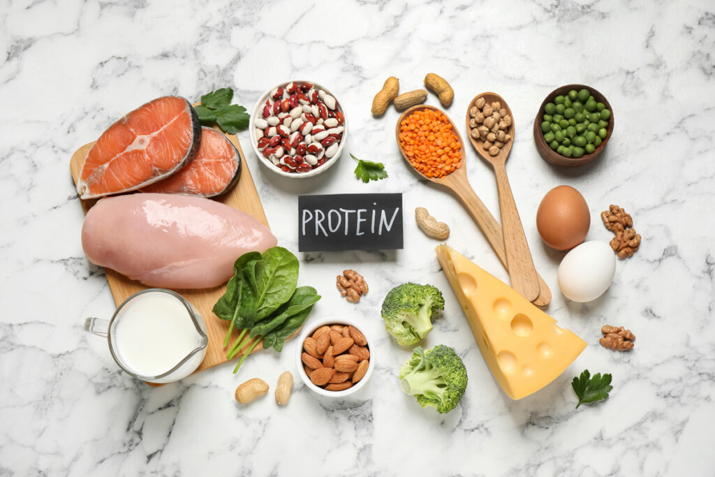 foods that are rich in proteins